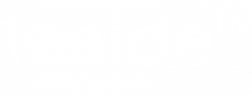 Infineo Inside Dataviz Logo Solution datavisualisation
