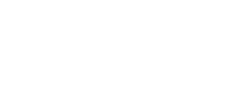 Infineo Inside Dataviz Logo Solution datavisualisation